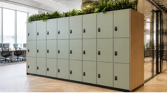 Day-use lockers — smart lockers in a modern Dutch workplace, 2026 guide